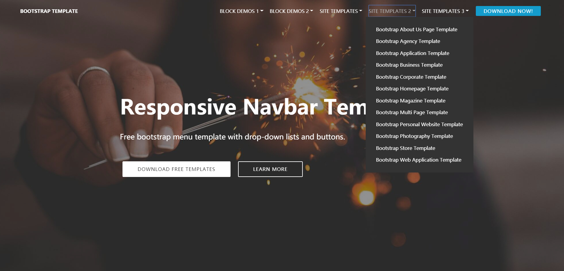 bootstrap navbar responsive template