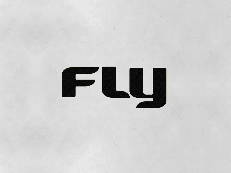 Fly Logotype Animation