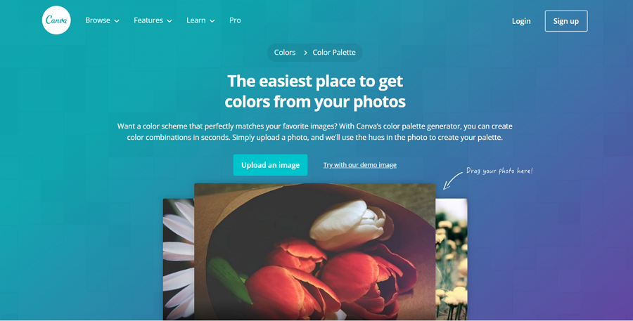 Canva ColorPalette Generator – 超易用的图片配色生成工具